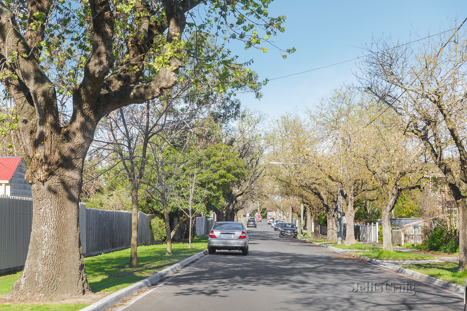 14 Fraser Street, Ormond image 14