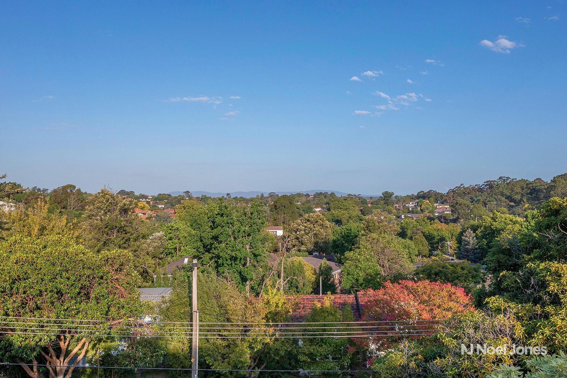 14 Glendale Street, Surrey Hills image 6
