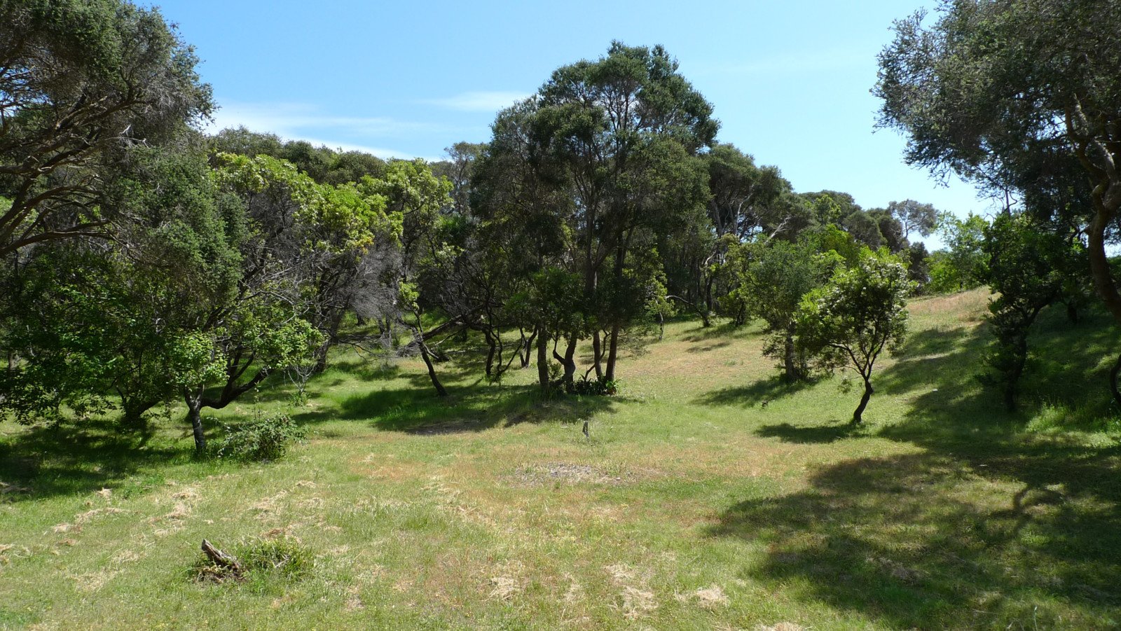 14 Jarman Court, Sorrento image 3