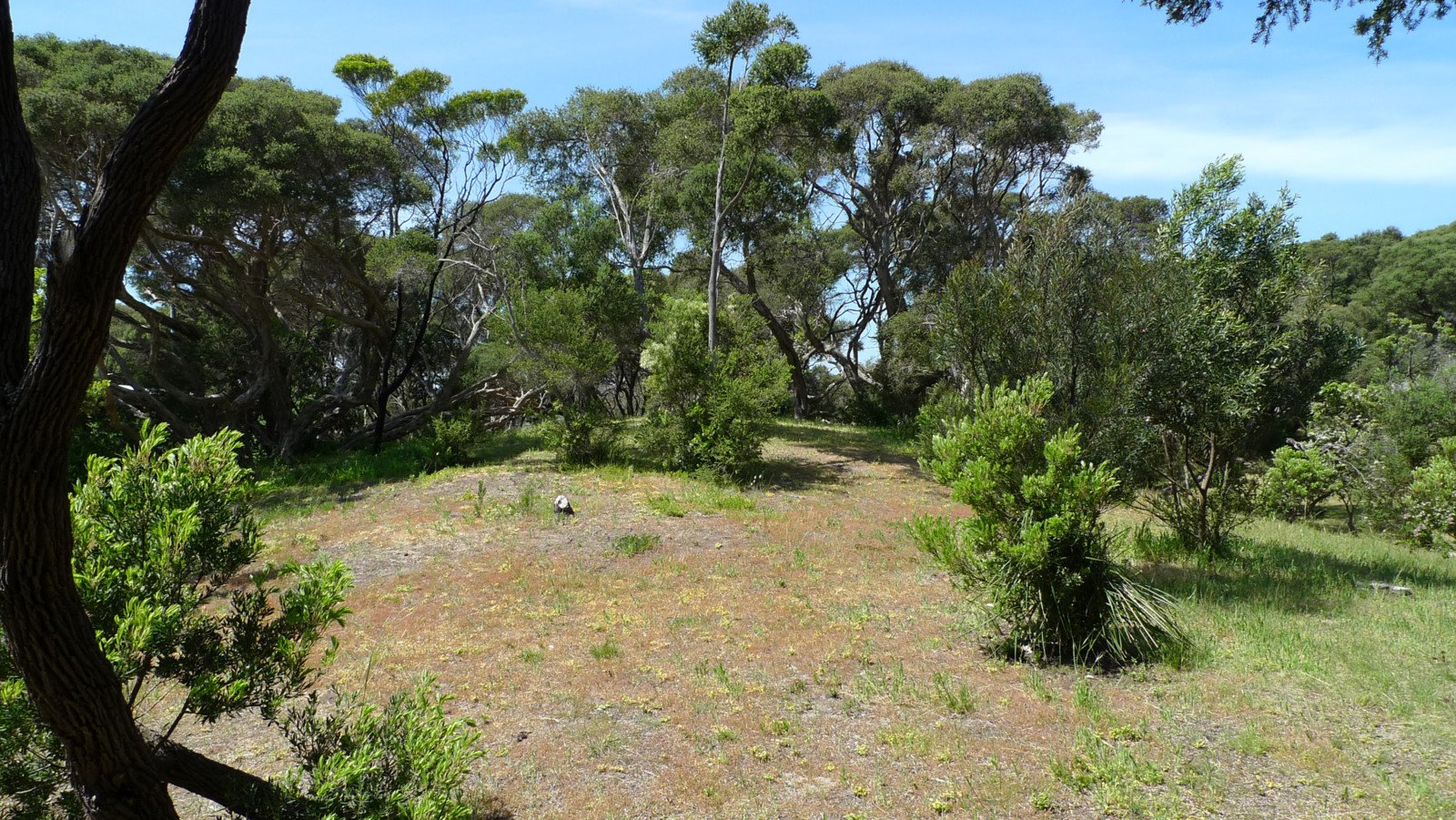 14 Jarman Court, Sorrento image 5