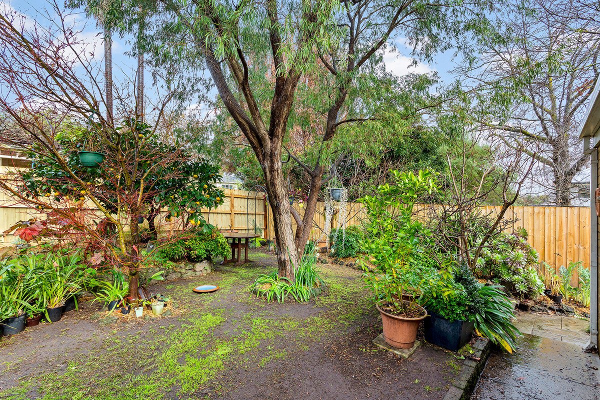 14 Killeen Avenue, Blackburn North image 6
