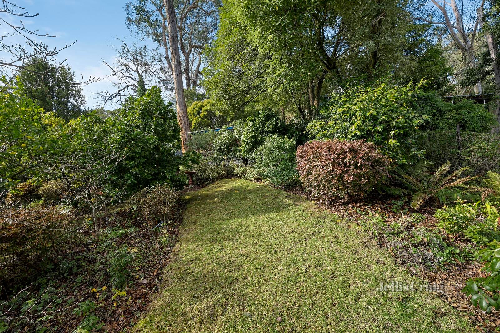 14 Kuyura Road, Mount Evelyn image 17