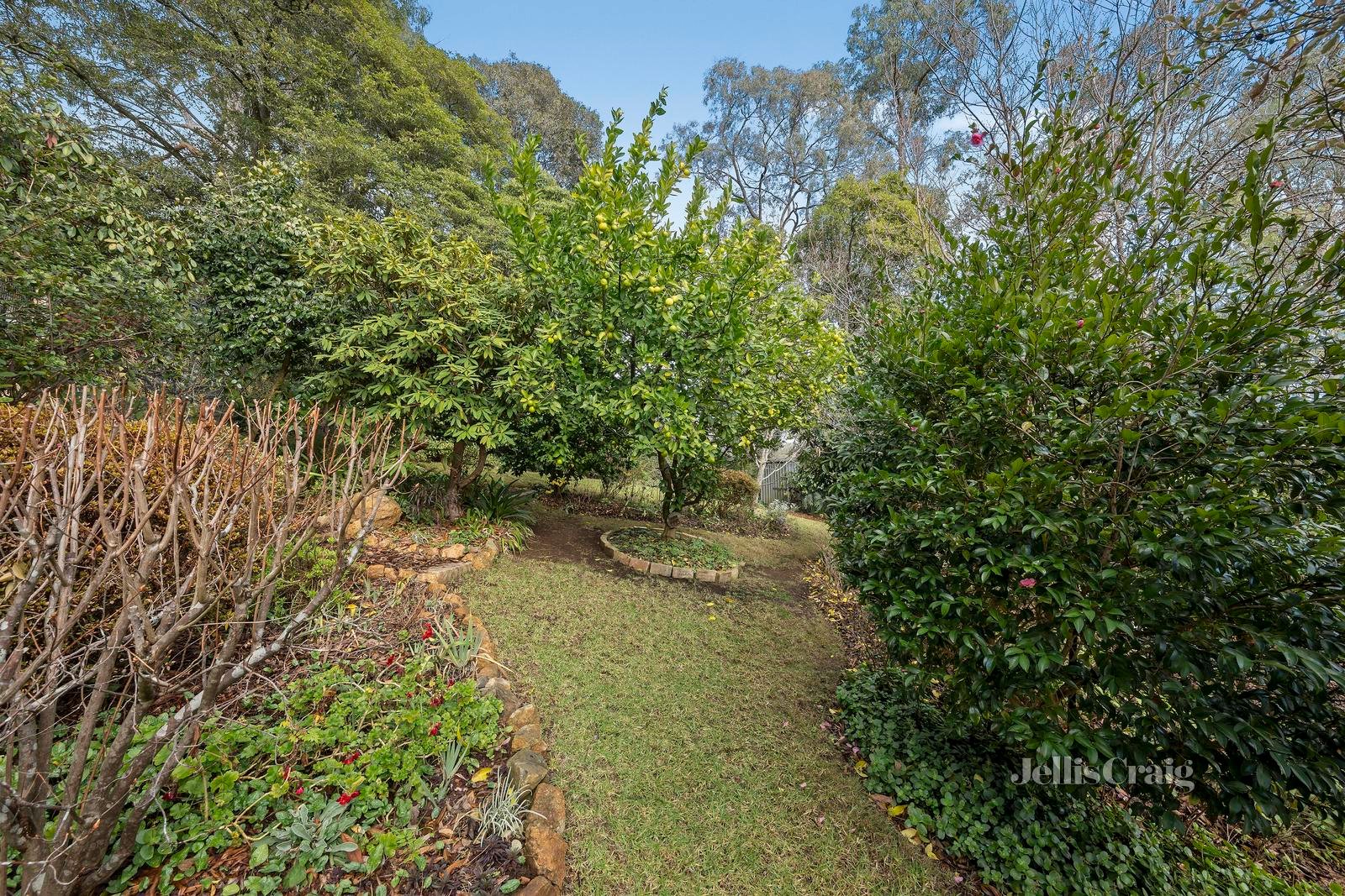 14 Kuyura Road, Mount Evelyn image 18