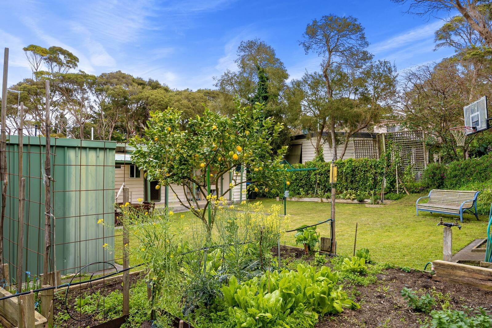 Property Gallery Thumbnail 12