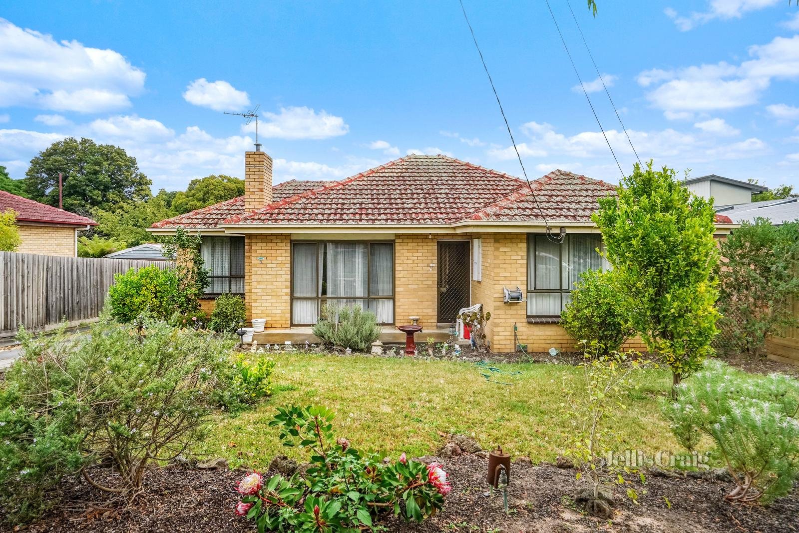 14 Leonard Street, Ashwood image 1