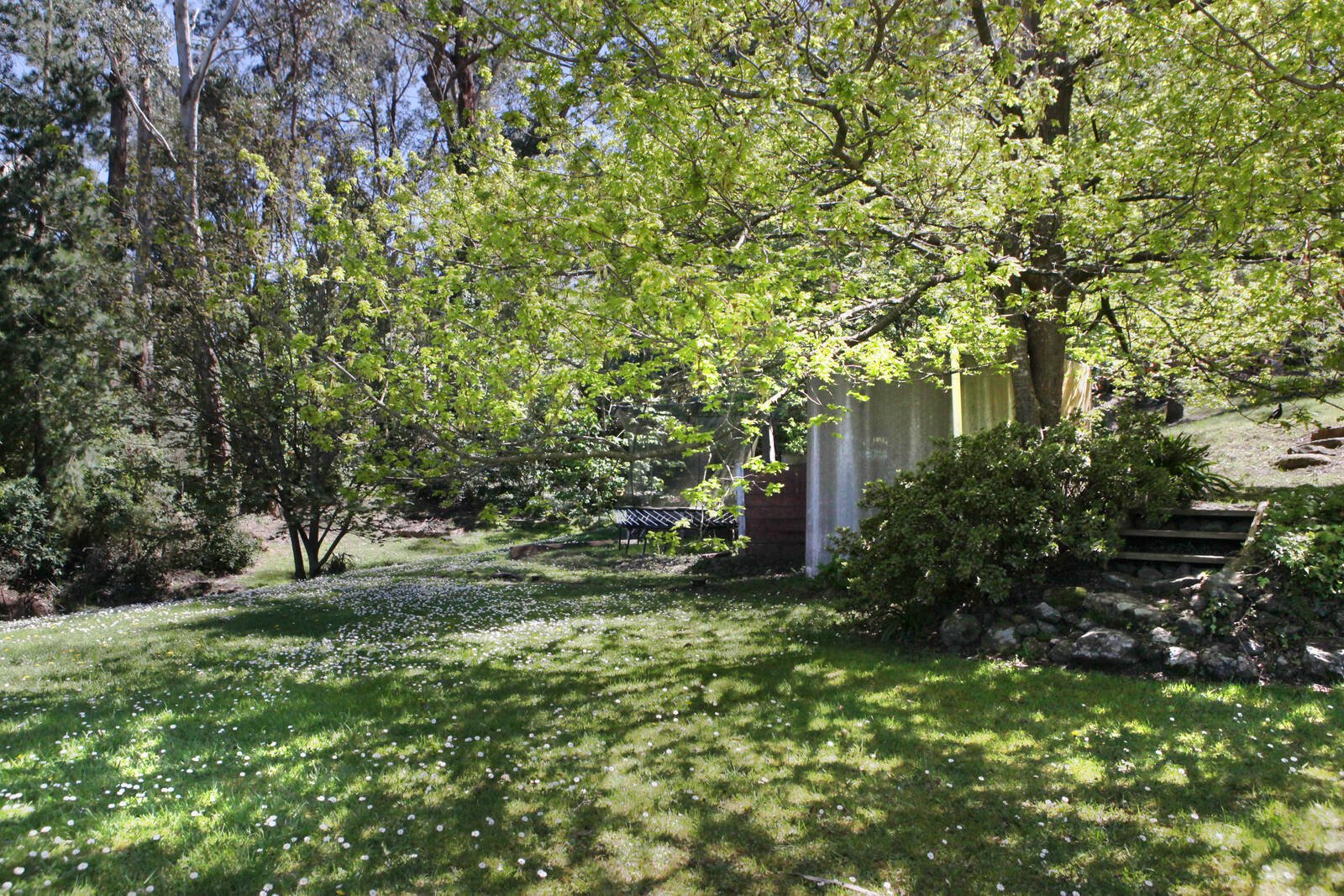 Property Gallery Thumbnail 2