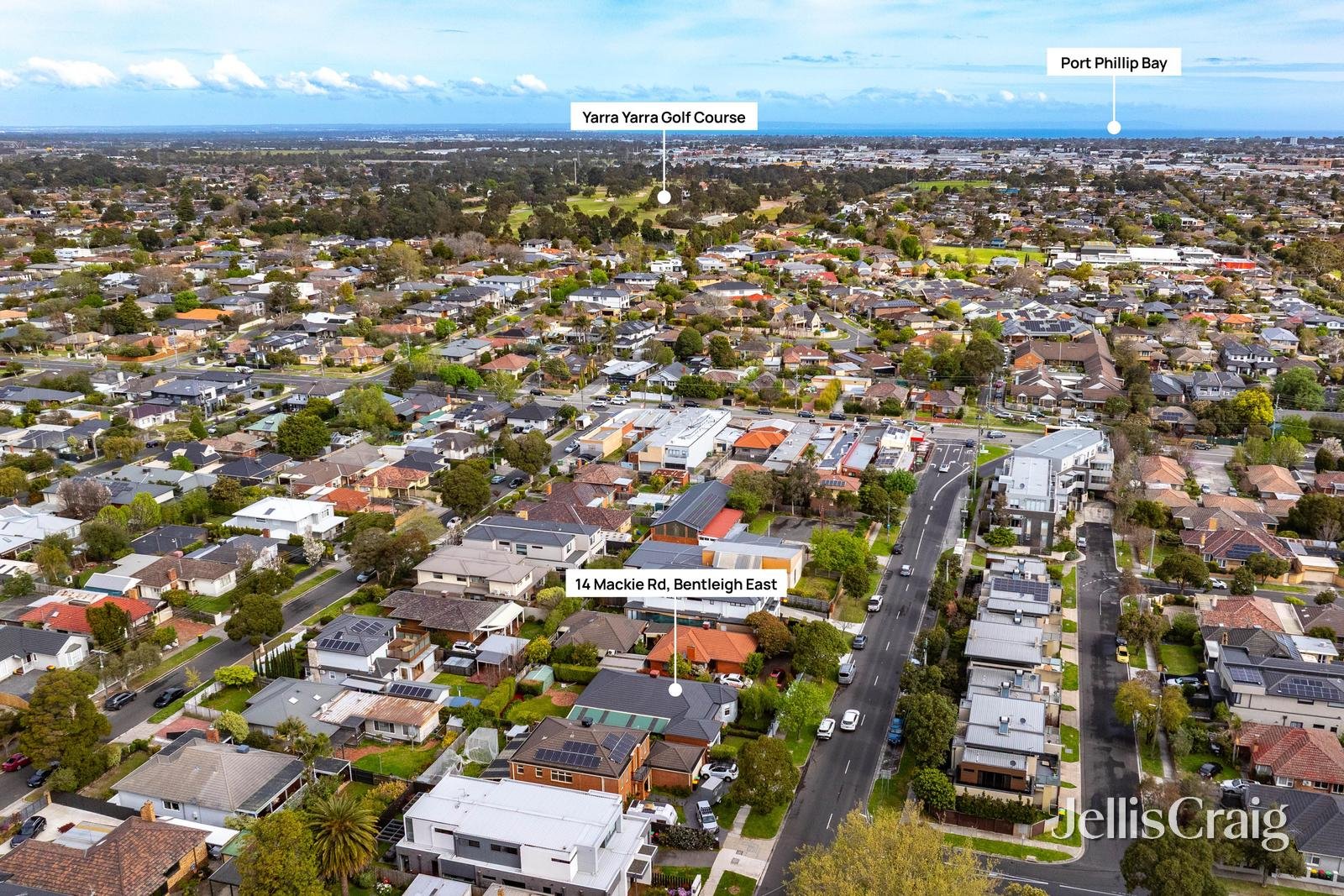 14 Mackie Road, Bentleigh East image 16