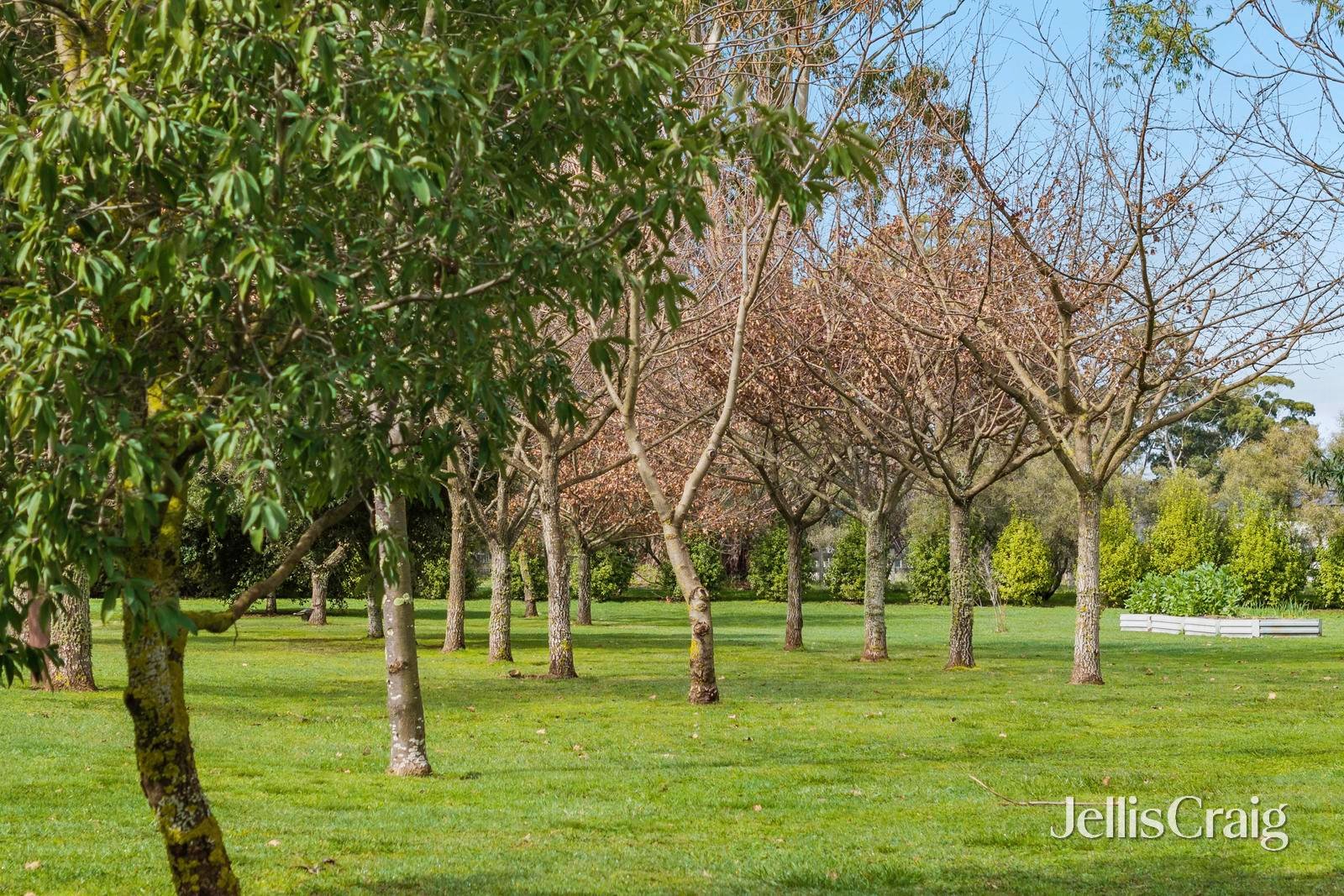14 McMahons Road, Glenlyon image 15