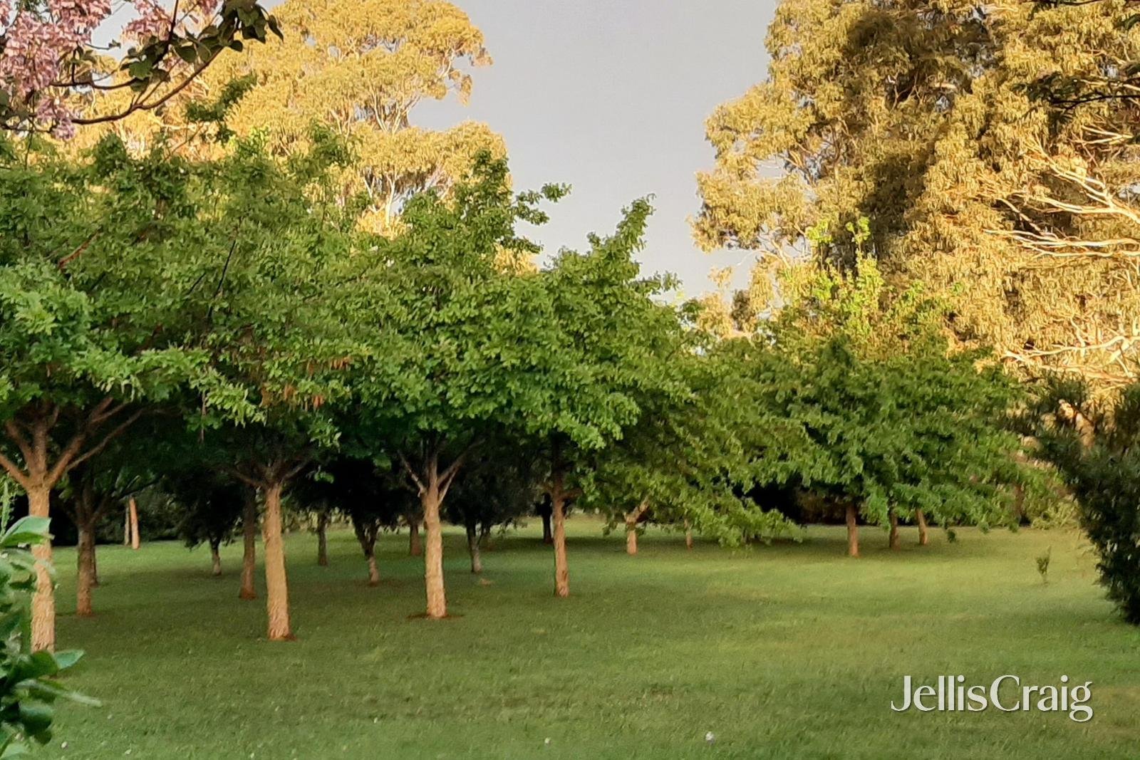 14 McMahons Road, Glenlyon image 22