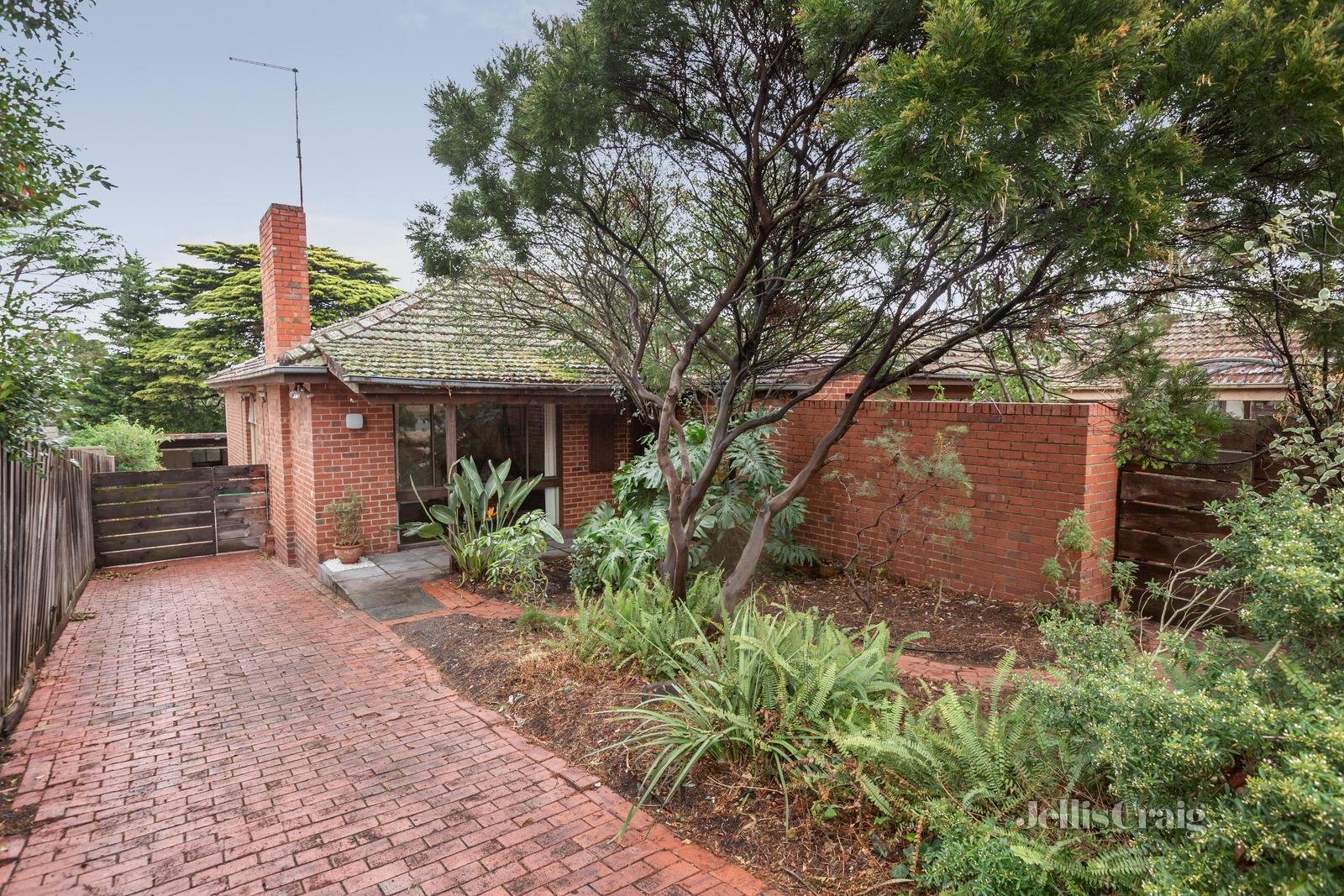 14 Pavo Street, Balwyn North image 2