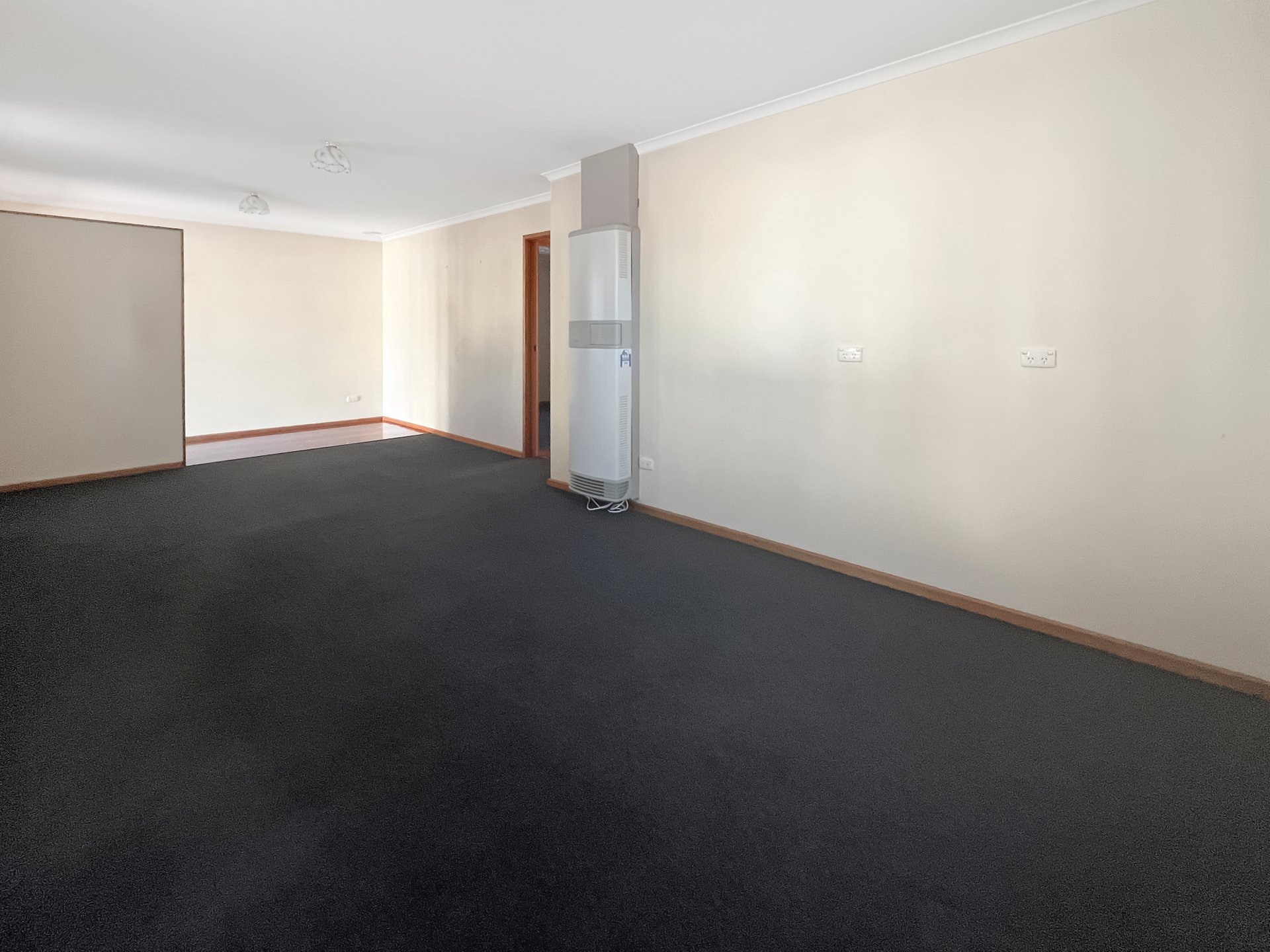 14 Pescott Street, Newtown image 4
