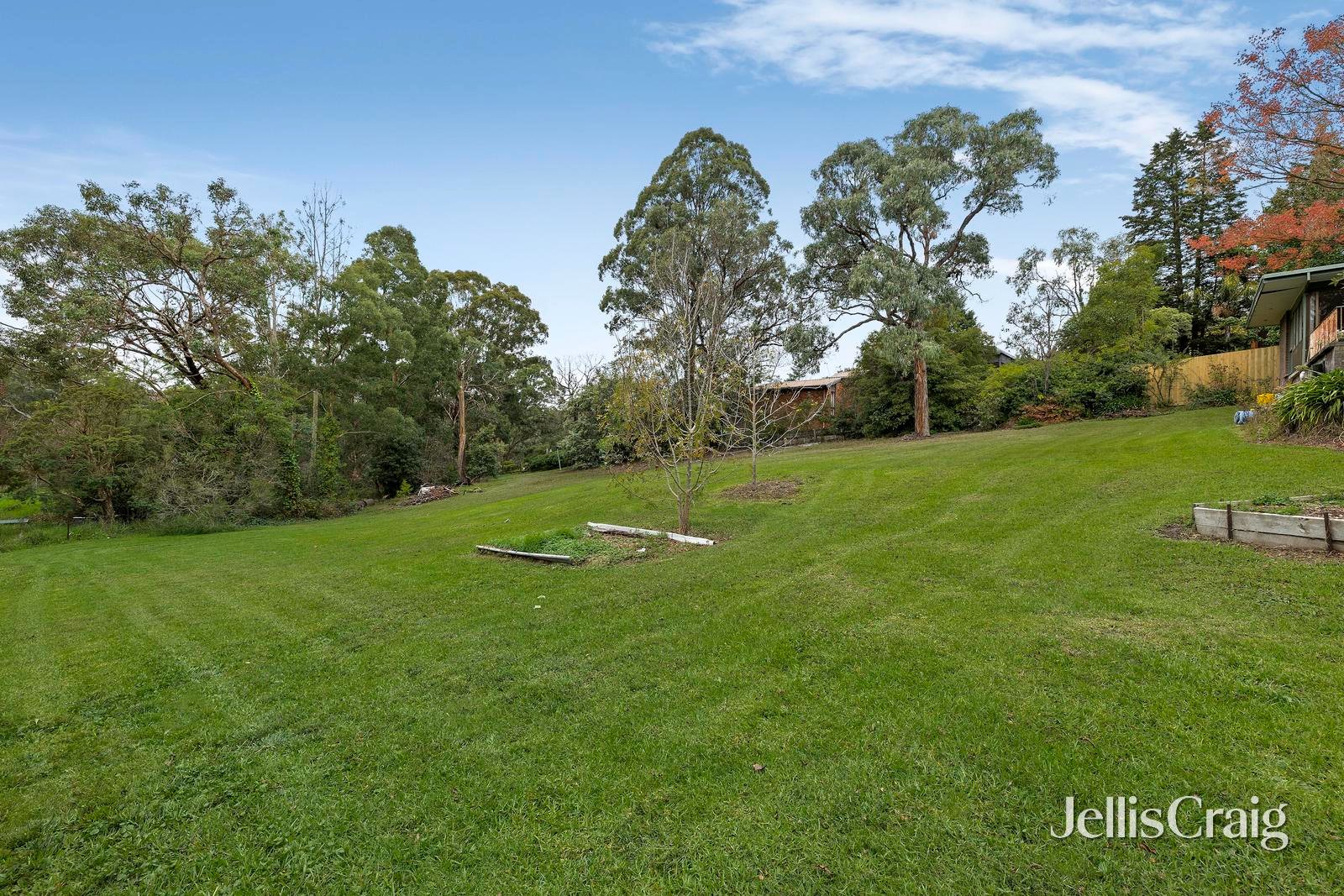 14 Rangeview Road, Donvale image 4