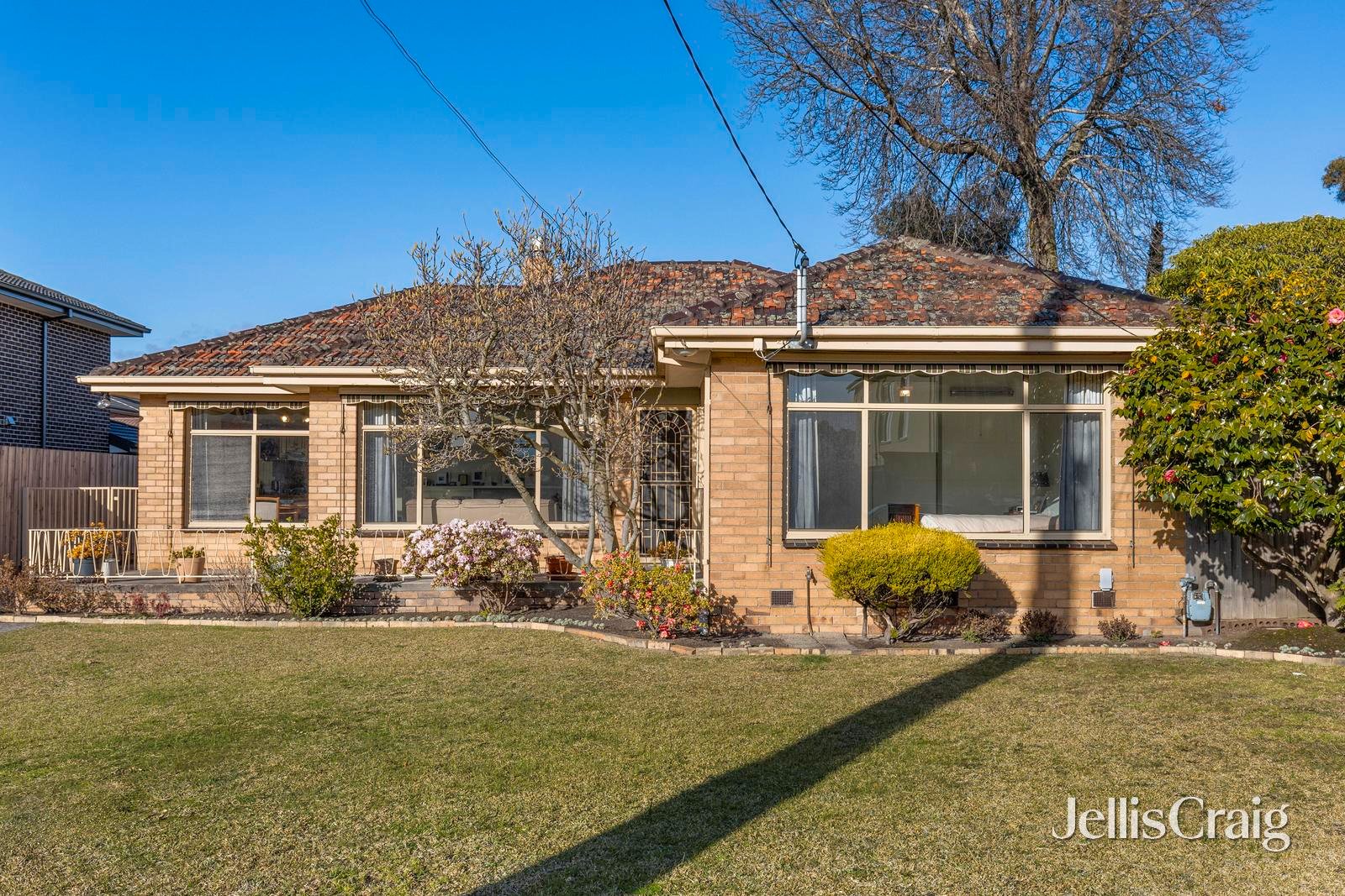 14 Rose Avenue, Glen Waverley image 3