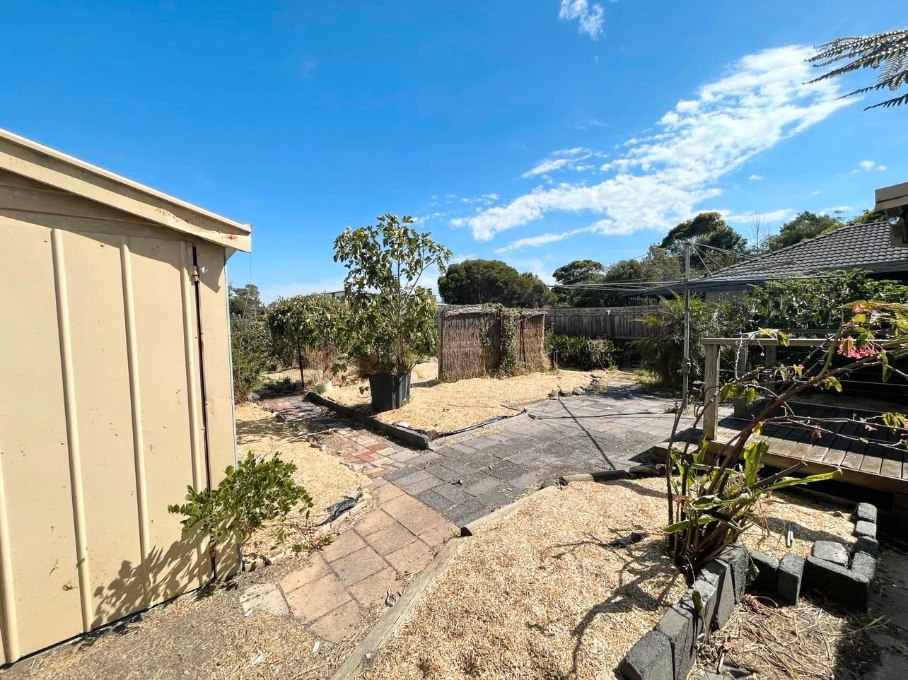 14 Sheridan Avenue, Frankston image 9