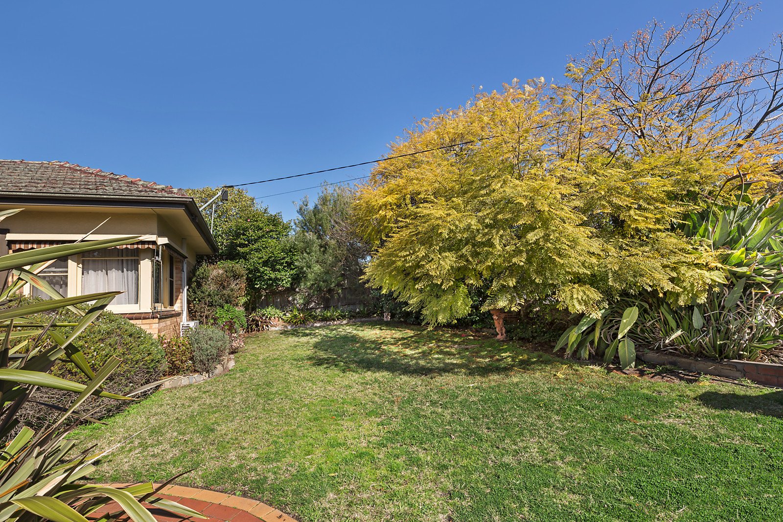 14 Webster Street, Malvern East image 8