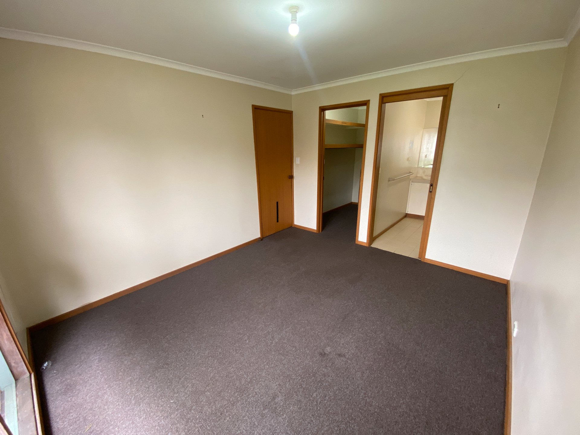 14 Wilks Street, Hamlyn&nbsp;Heights image 8