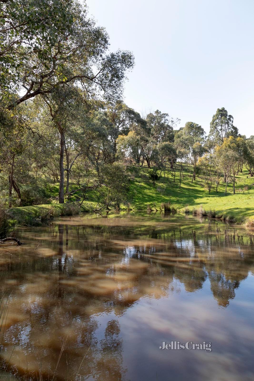 140 Barreenong Road, Cottles Bridge image 28