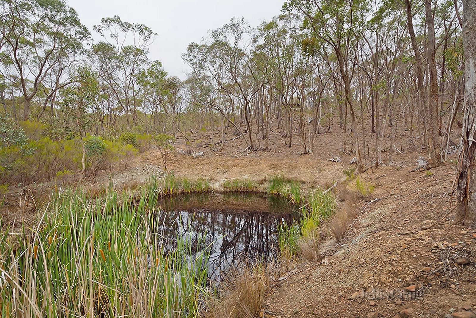 1/40 Madigans Road, Chewton image 7