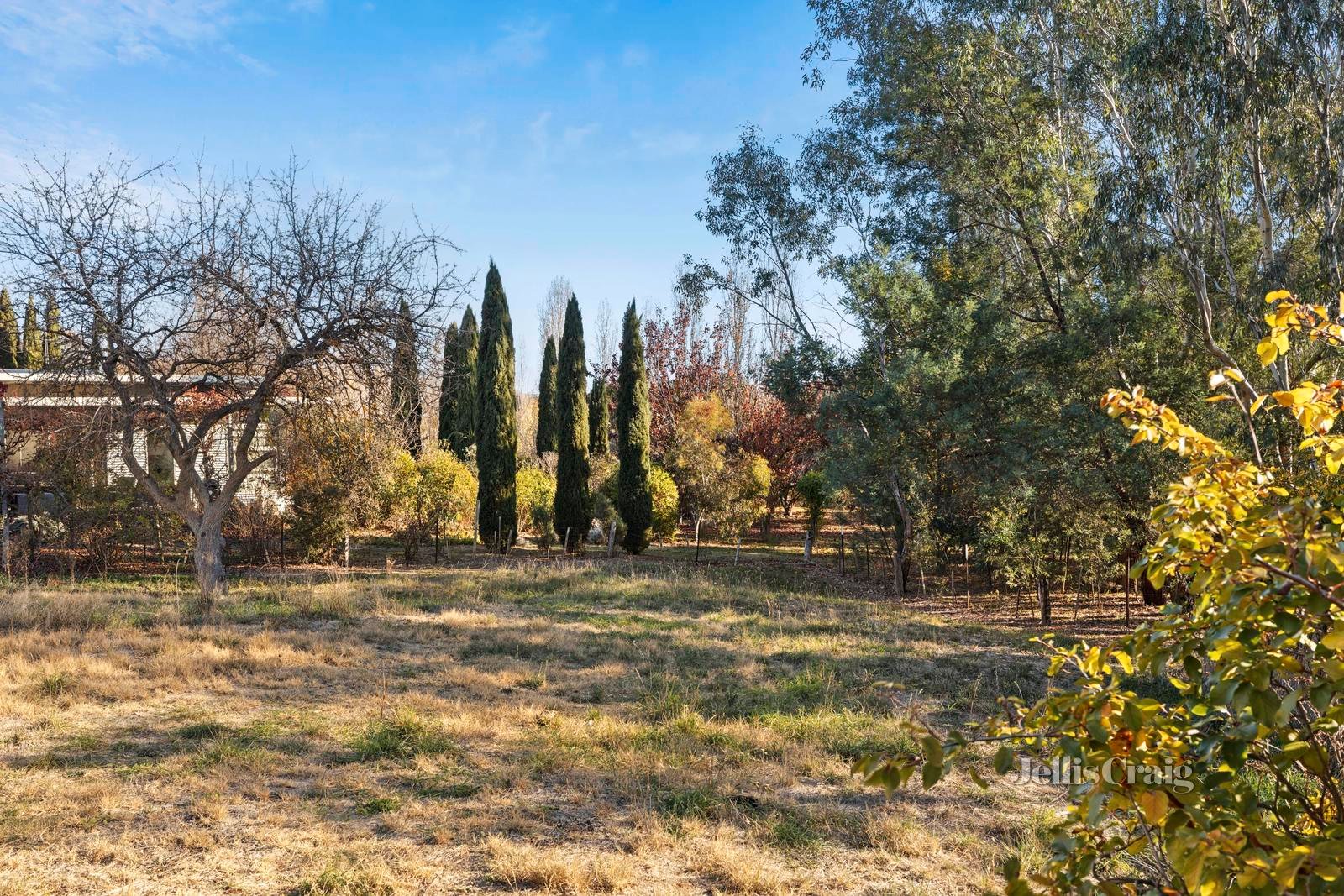 140 Main Road, Campbells Creek image 3