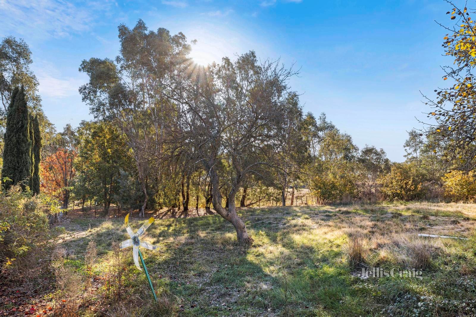 140 Main Road, Campbells Creek image 13