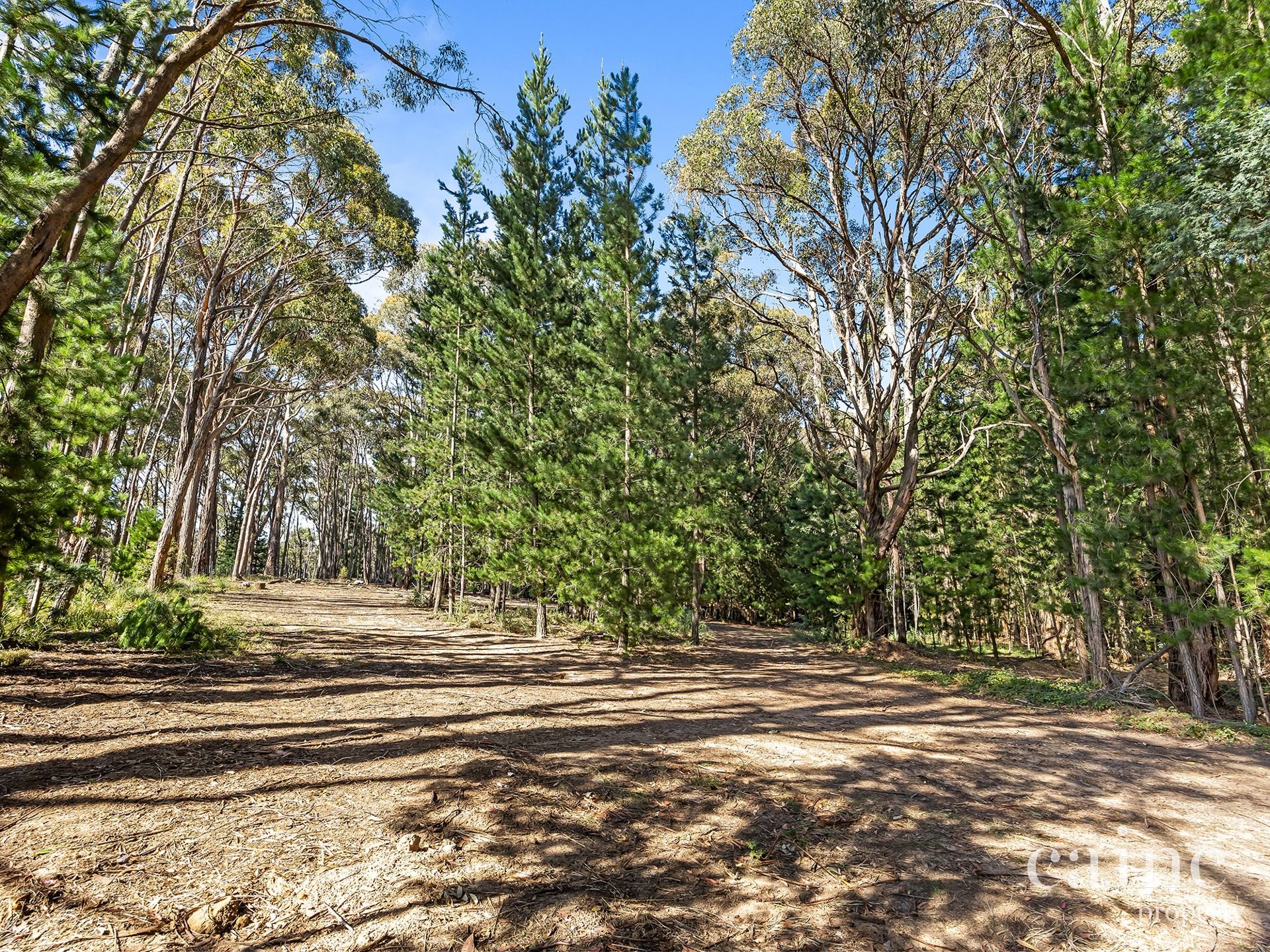 1400 Daylesford Malmsbury Road, Denver image 2