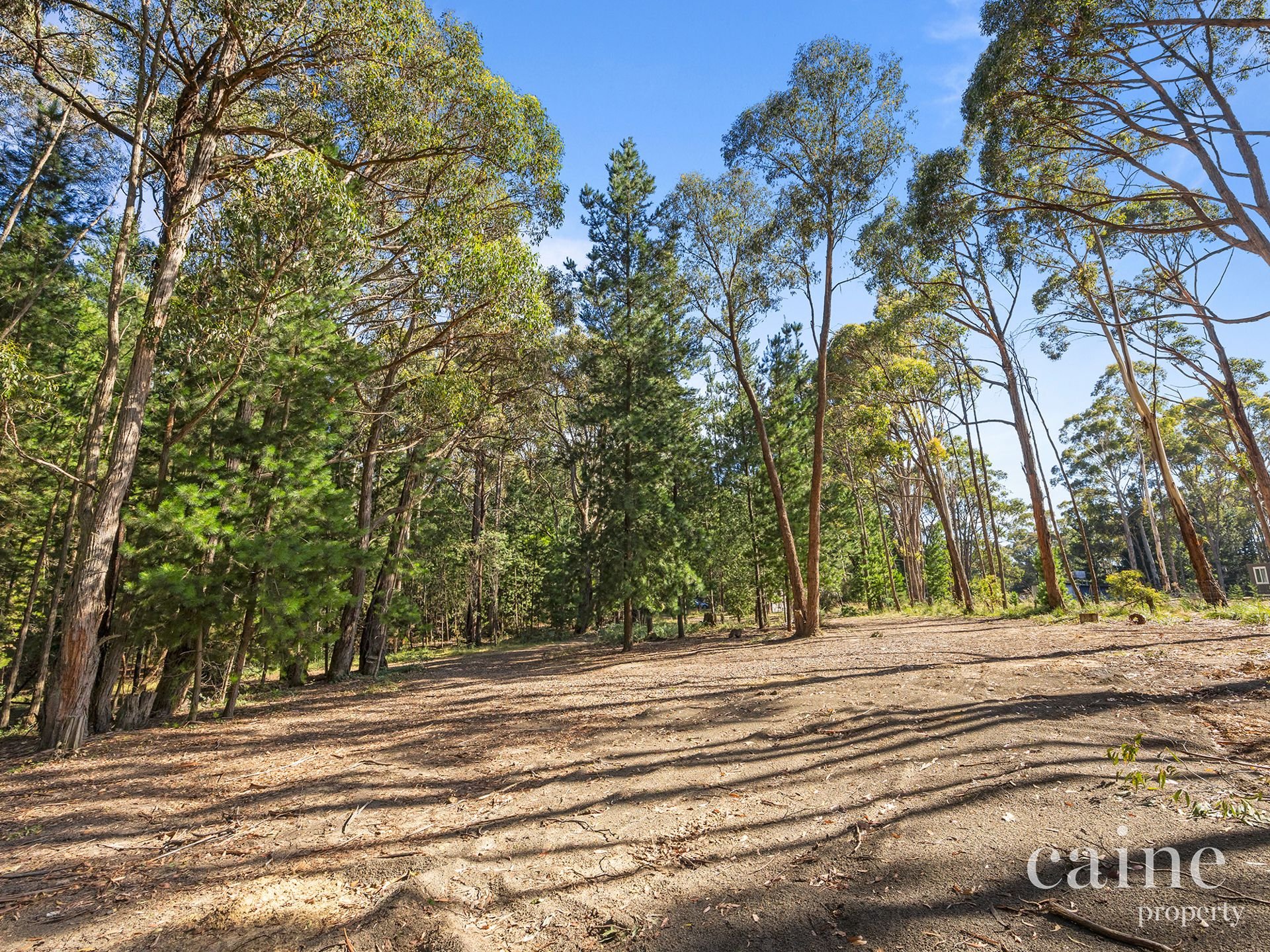 1400 Daylesford Malmsbury Road, Denver image 3