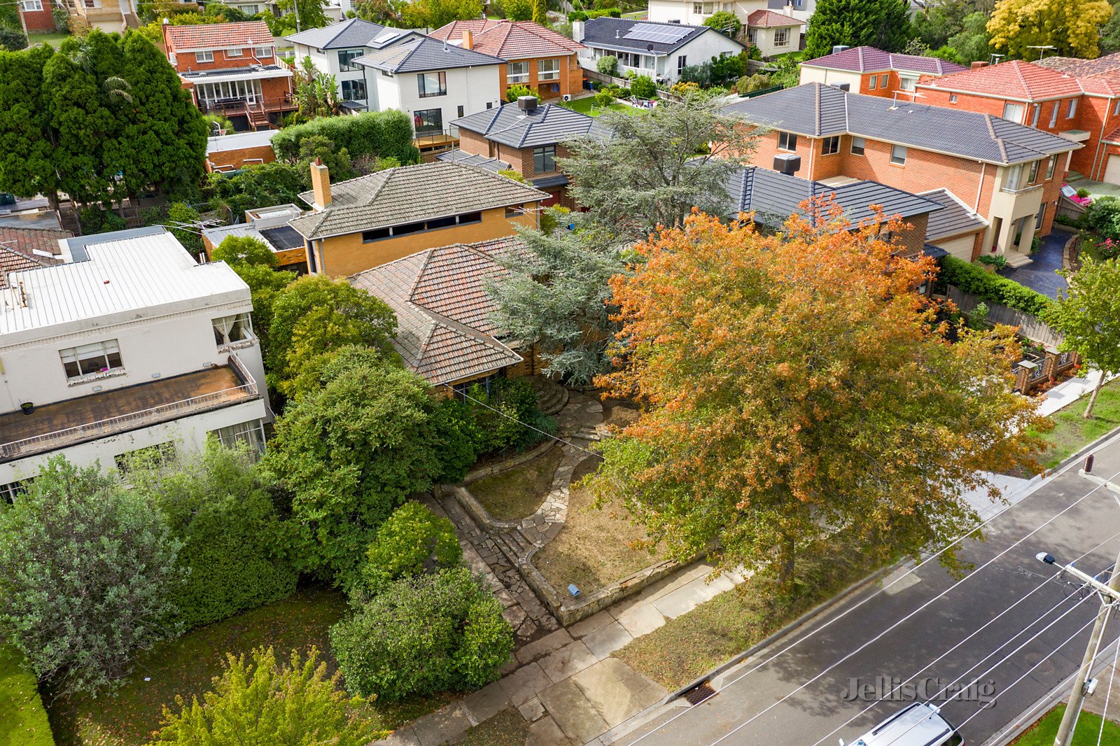 141 Maud Street, Balwyn North image 6