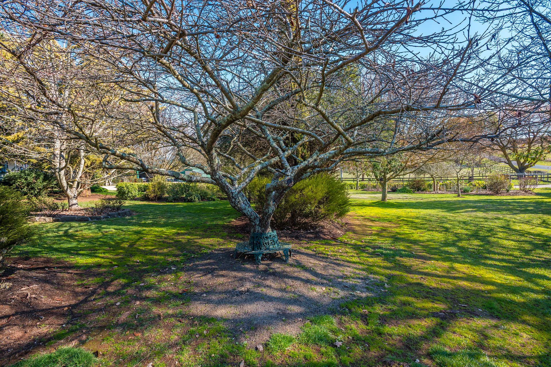 Property Gallery Thumbnail 13