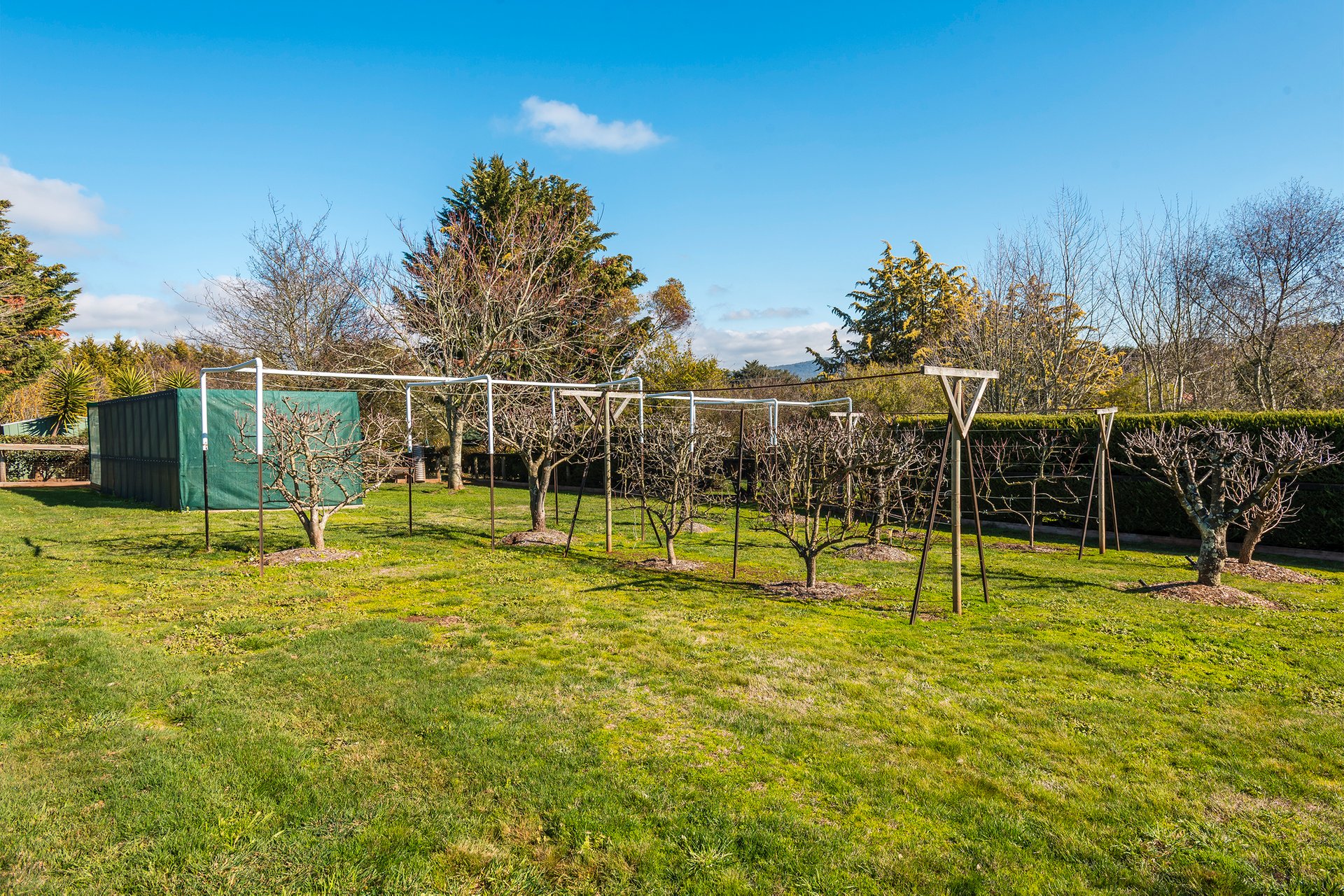 Property Gallery Thumbnail 17