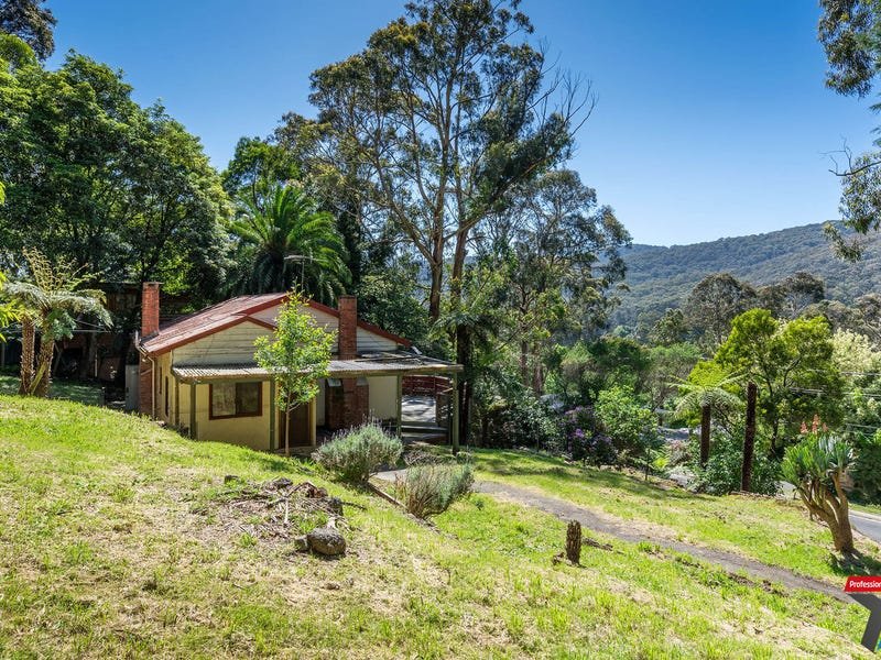1410 Mountain Highway, The Basin image 14