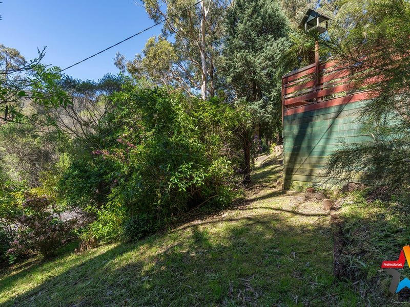 1410 Mountain Highway, The Basin image 15