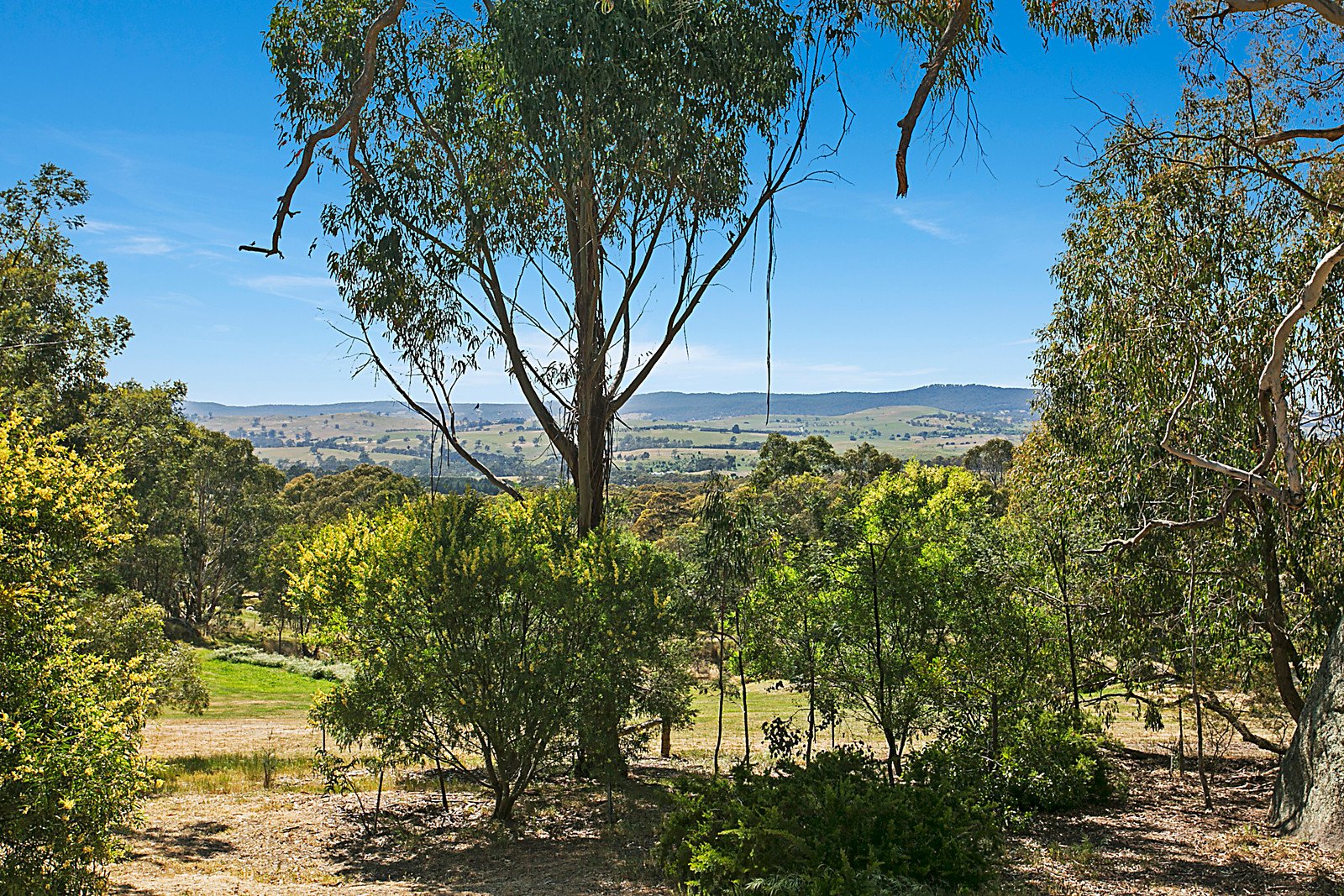 142 Bald Hill Road, Kyneton image 2