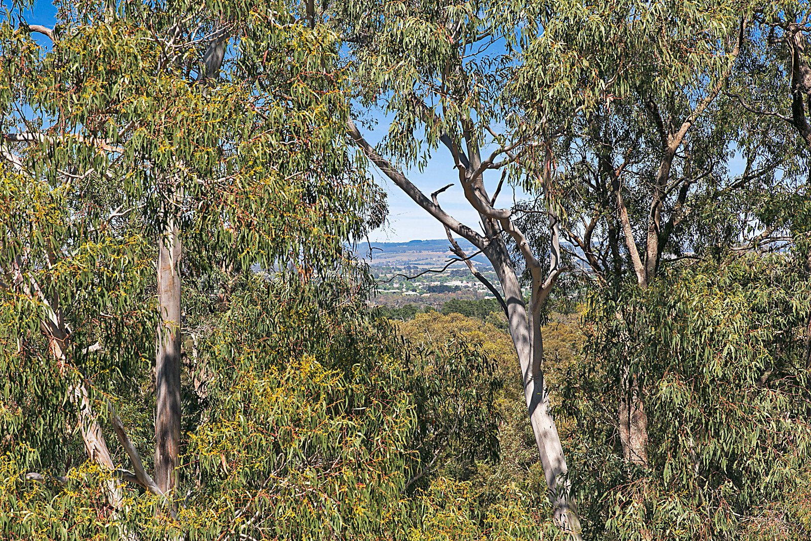 142 Bald Hill Road, Kyneton image 11