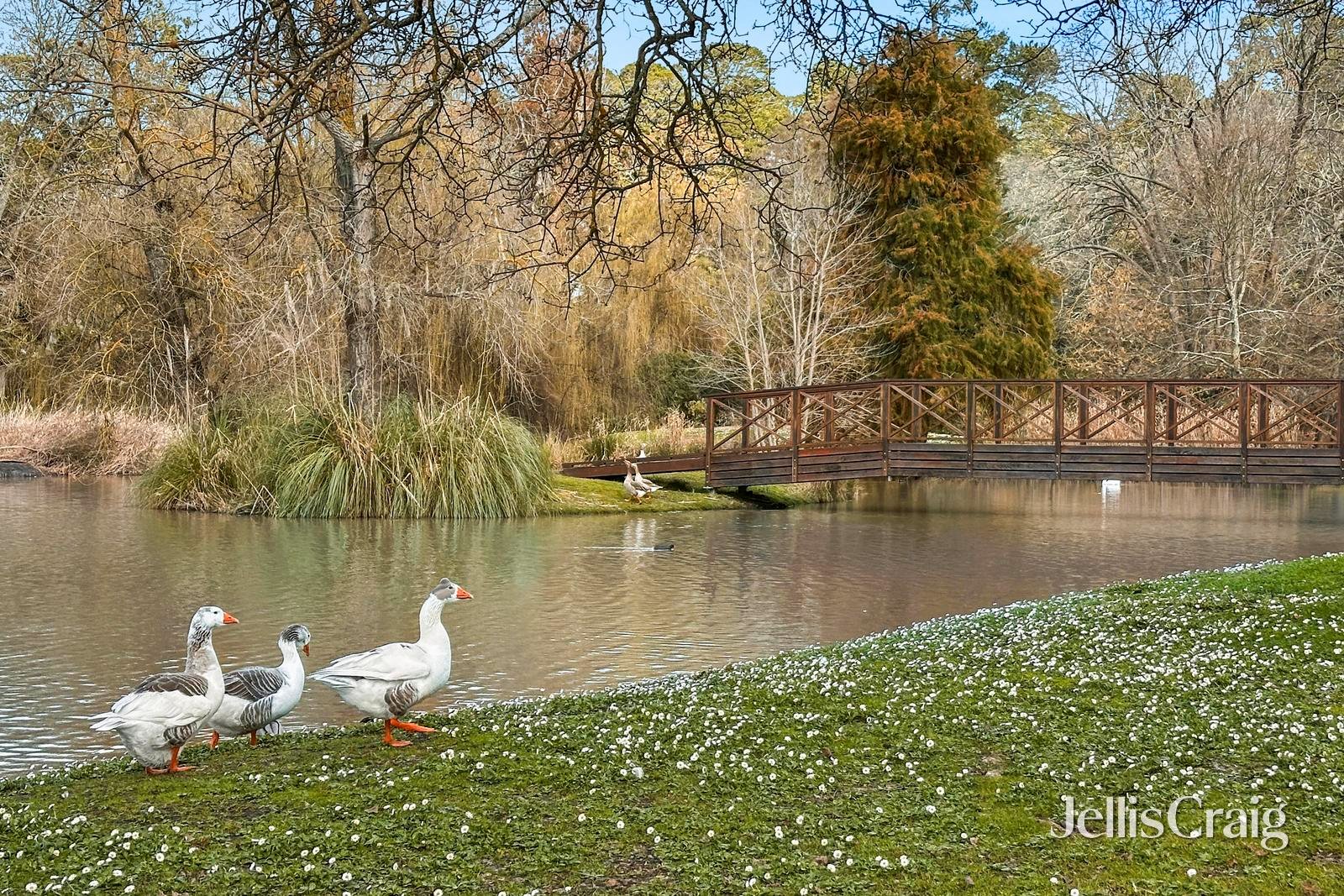 142 Mollison Street, Malmsbury image 14