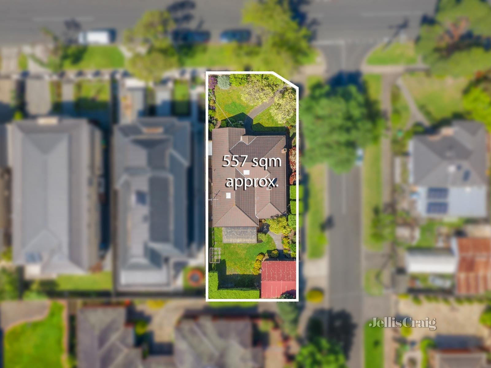 143 Gordon Street, Balwyn image 12