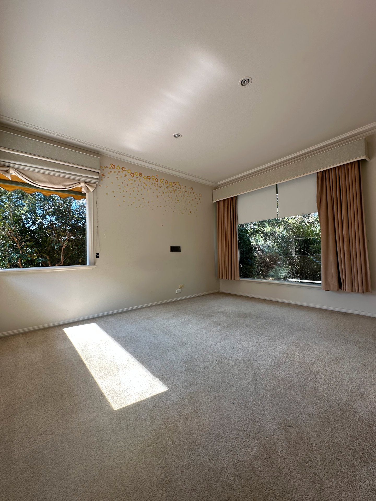 144 Wantirna Road, Ringwood image 6