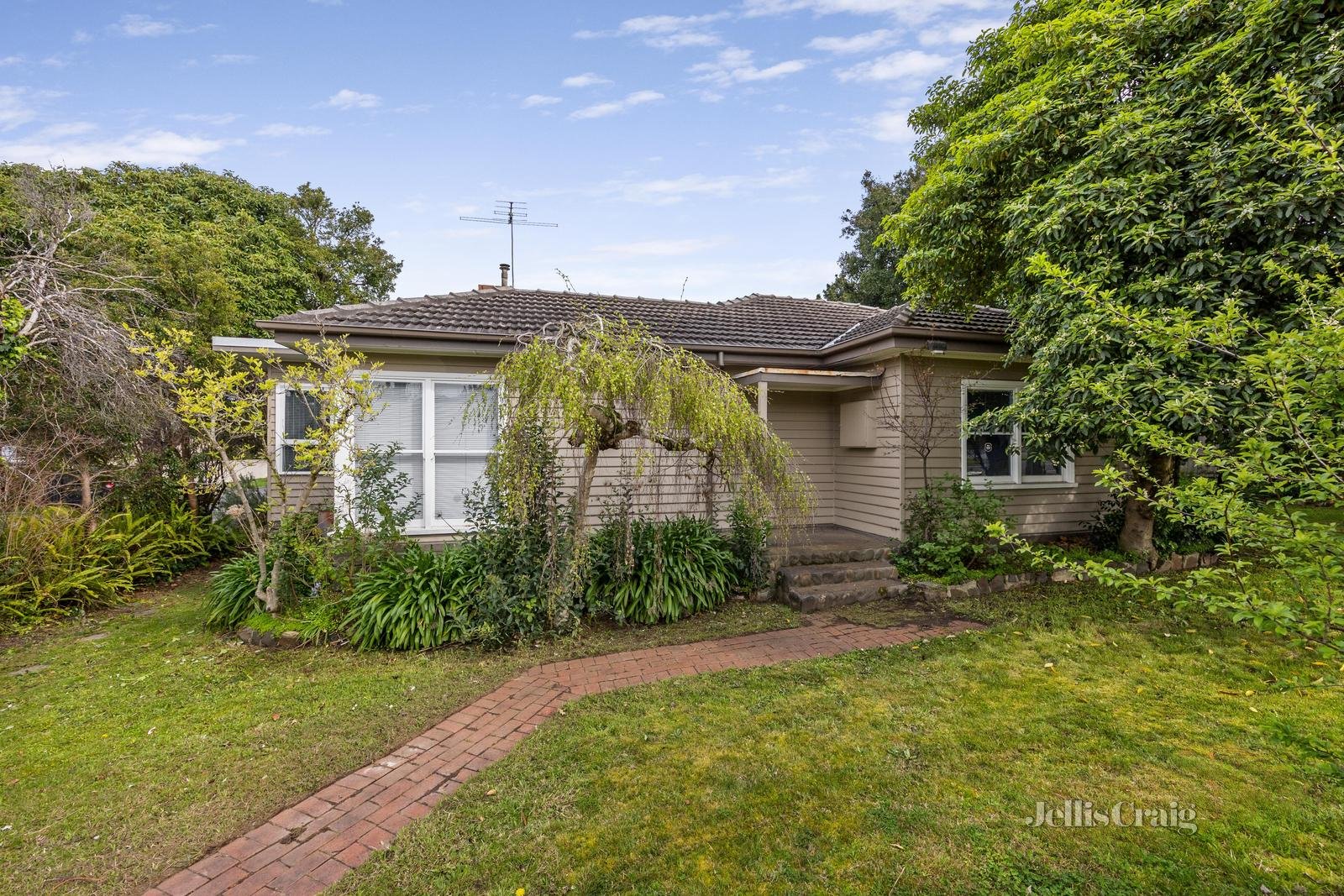 145 Blackburn Road, Doncaster East image 2