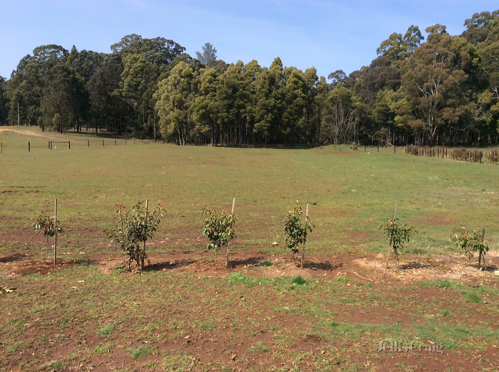 145 Mulcahys Road, Trentham image 1