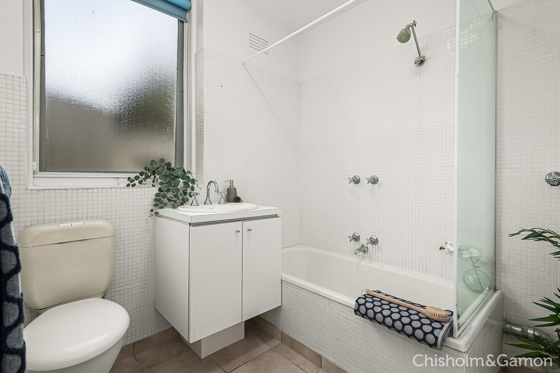 1/45 Shelley Street, Elwood image 7