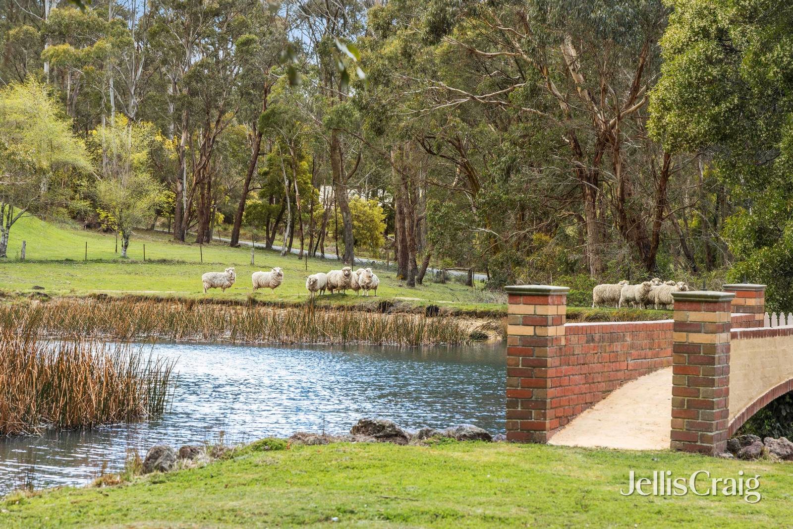 145 Spencer Road, Woodend image 2