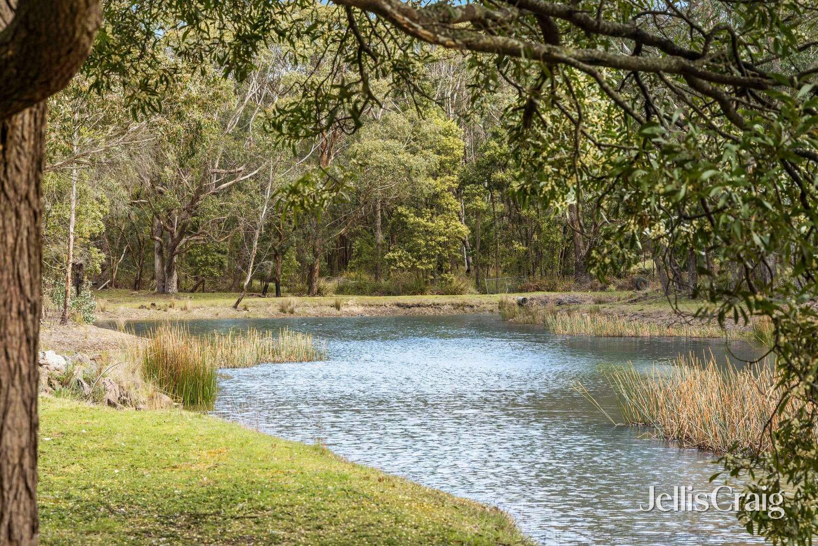 145 Spencer Road, Woodend image 23