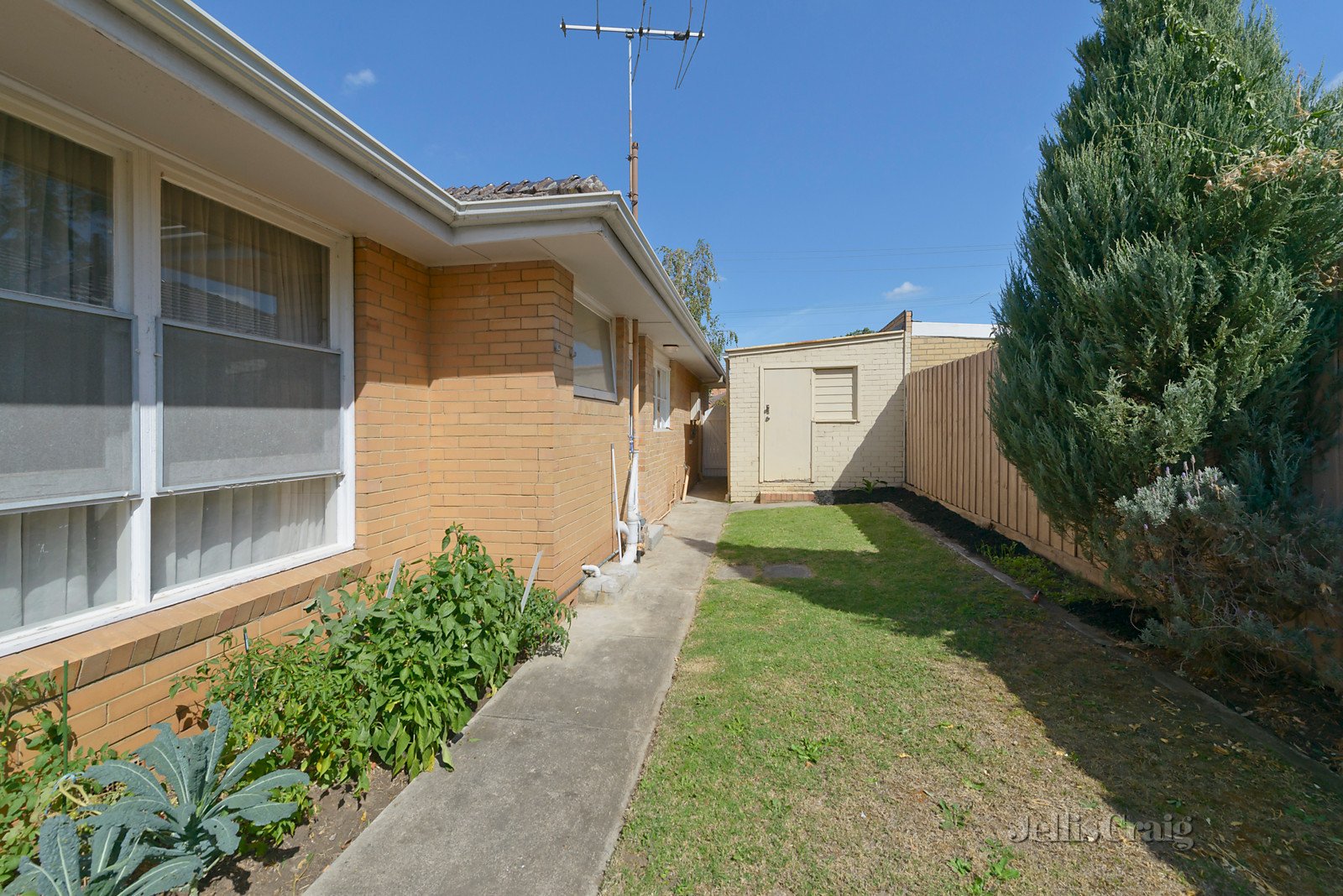 1/453 Camberwell Road, Camberwell image 7