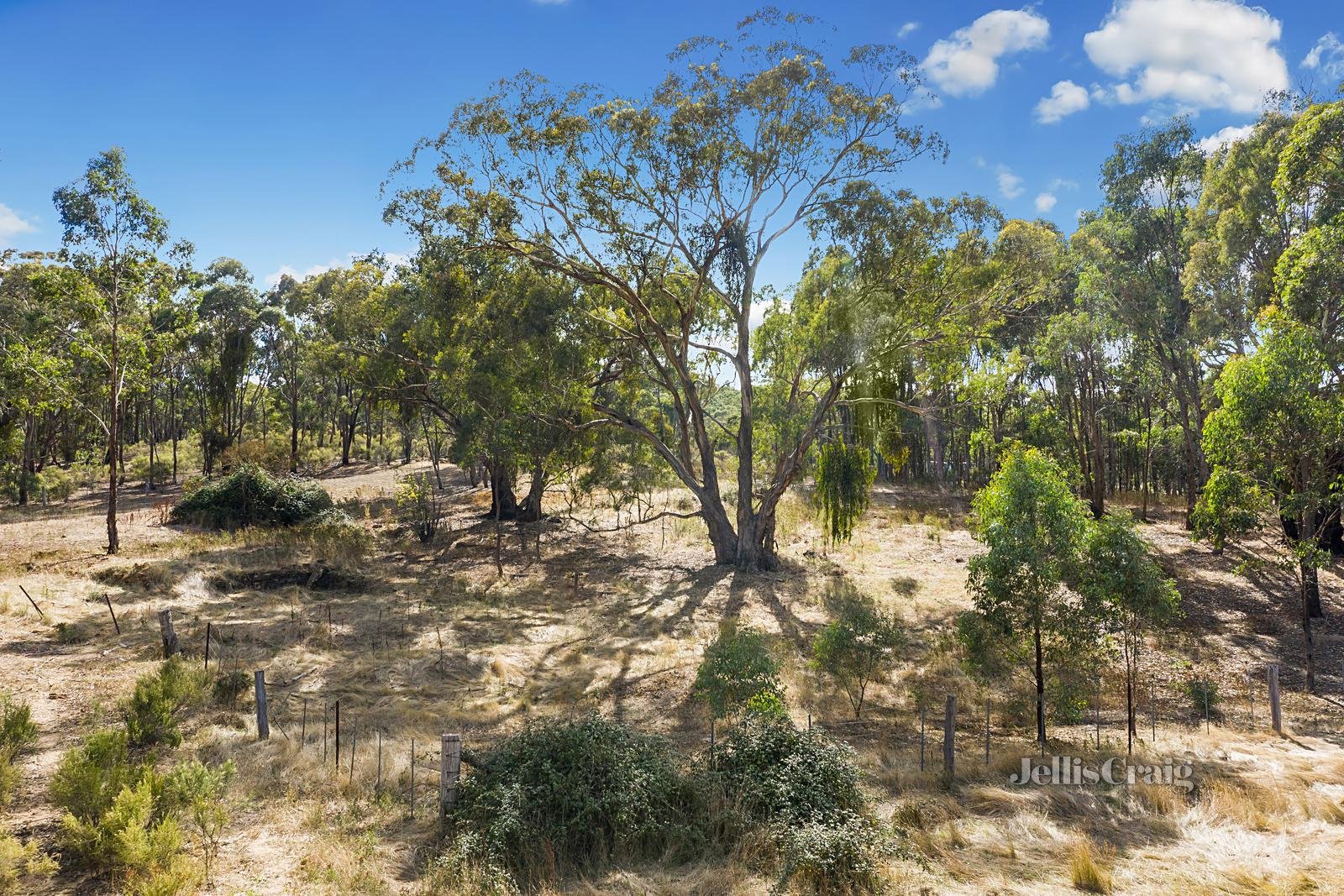 146 Colles Road, Moonlight Flat image 2