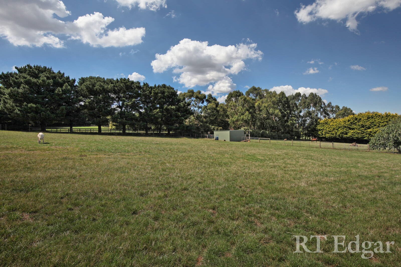 Property Gallery Thumbnail 20