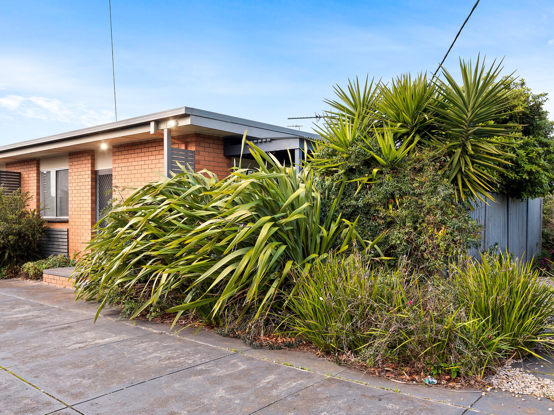 1/47 Sladen Street, Hamlyn Heights image 8