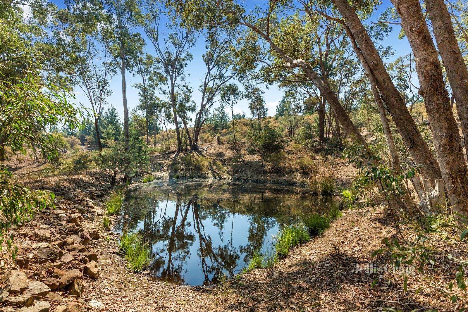 149 Specimen Gully Road, Barkers Creek image 15