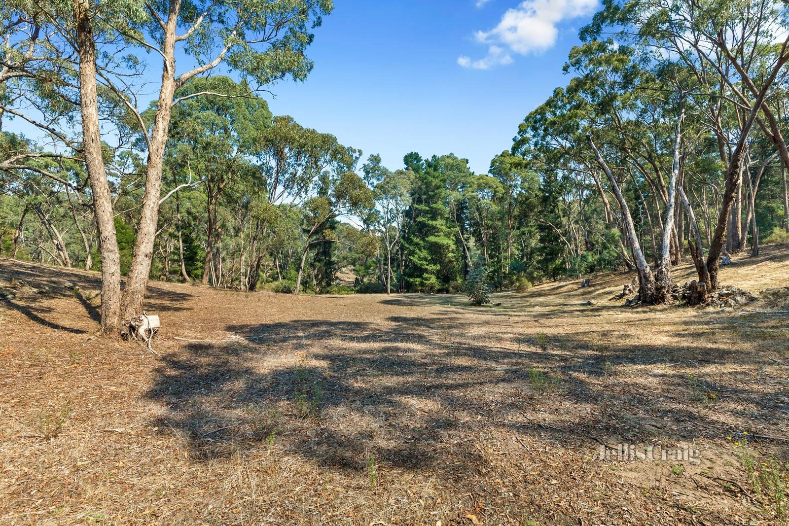 149 Specimen Gully Road, Barkers Creek image 19