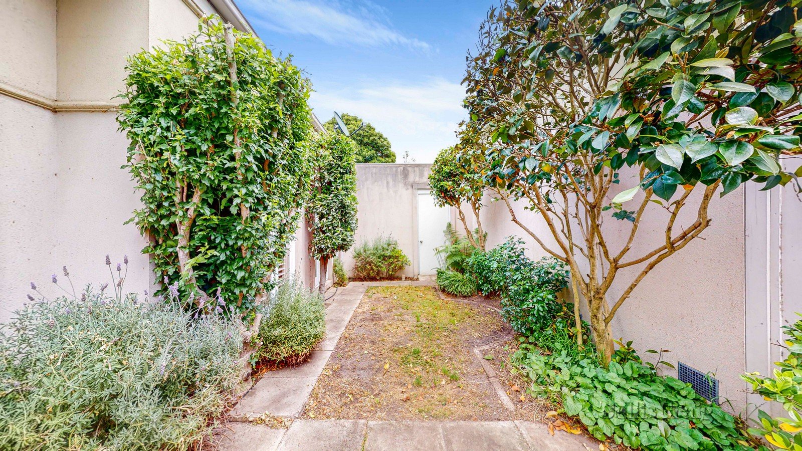 14B Devorgilla Avenue, Toorak image 12