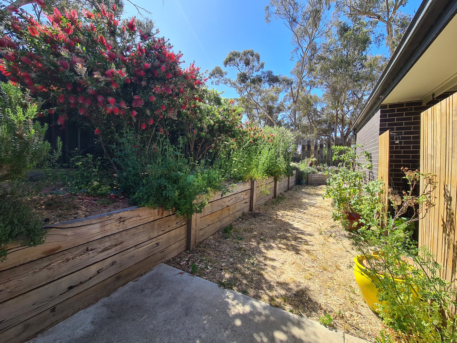 14B Palmerston Street, Newstead image 8