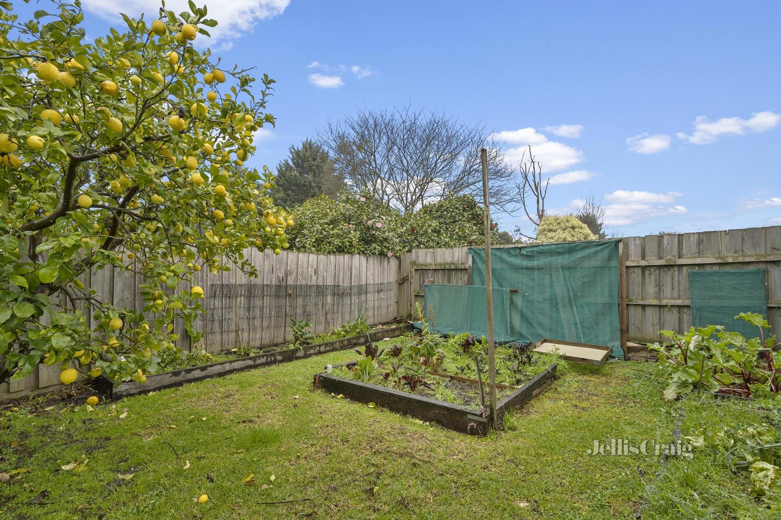 15 Bligh Court, Lilydale image 17